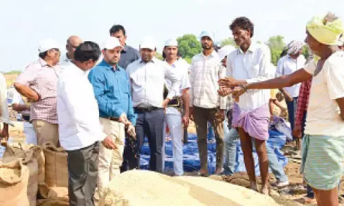 Govt will purchase rain-damaged paddy, Collector assures farmers