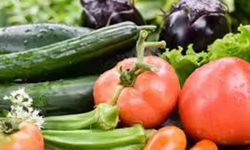Best Vegetables to Grow in Your Summer Kitchen Garden