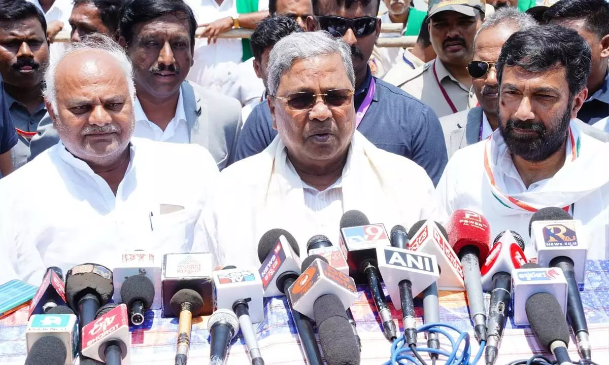 A special force is needed to curb and detect anti-social forces: CM A special force is needed to curb and detect anti-social forces: CM