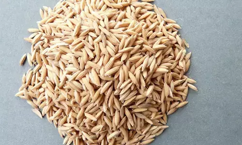 2,200 paddy bags seized at TG-AP border