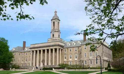 Scientists create hair-like electrode to monitor brain’s electrical activity