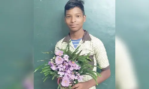 From grazing goats to grasping glory in HSC exam