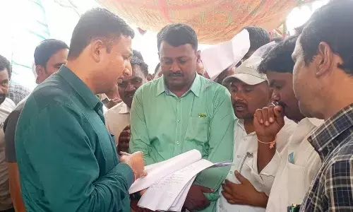 Agri lands registered as plots in Dharani