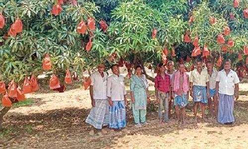 Ordinary technique reaps extraordinary returns