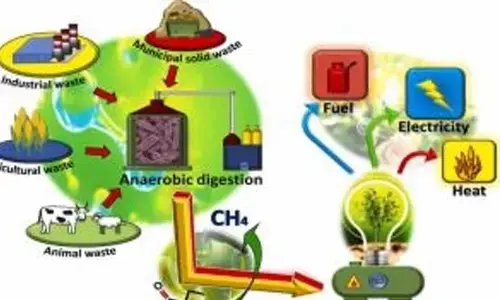 Demand to include biofuel biogas under non-polluting ‘white category’