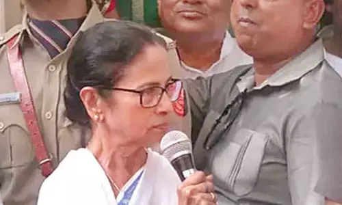 Mamata refutes charge of using neem wood from Puri