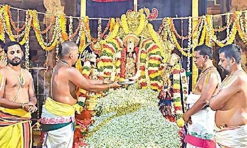 Grand celebration of Sri Sita Jayanti at Vontimitta Sri Kodandarama Swamy temple