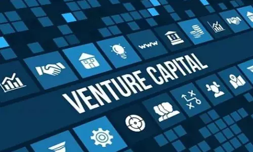 9% rise takes PE/VC inflows to $43 bn in 2024
