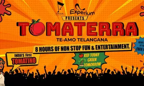 A Guide to Explore about Tomma Terra Festival