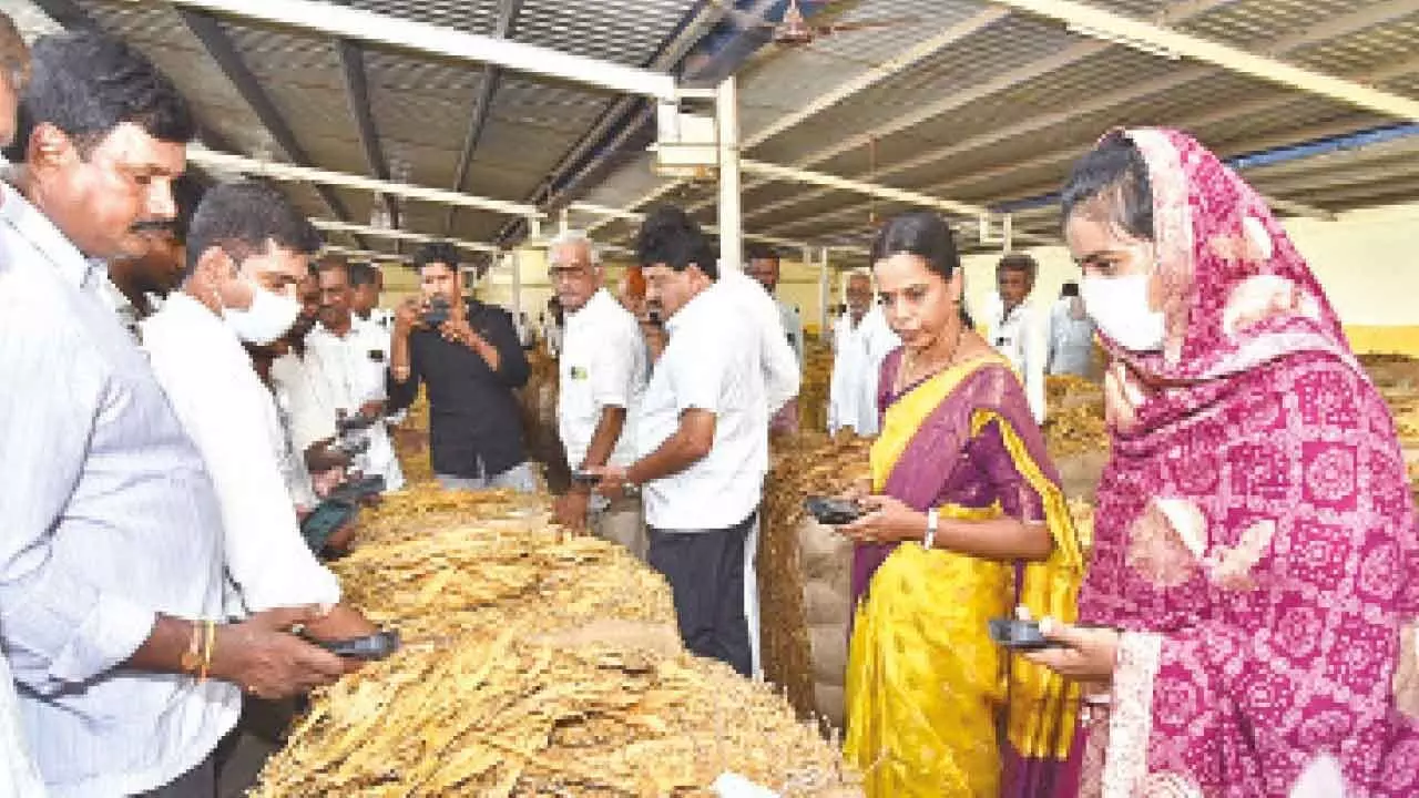 Collector Thameem Ansariya visits tobacco auction centre Collector Thameem Ansariya visits tobacco auction centre