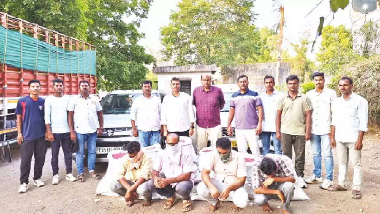 Fake cotton trade thriving, causing huge losses to farmers Fake cotton trade thriving, causing huge losses to farmers