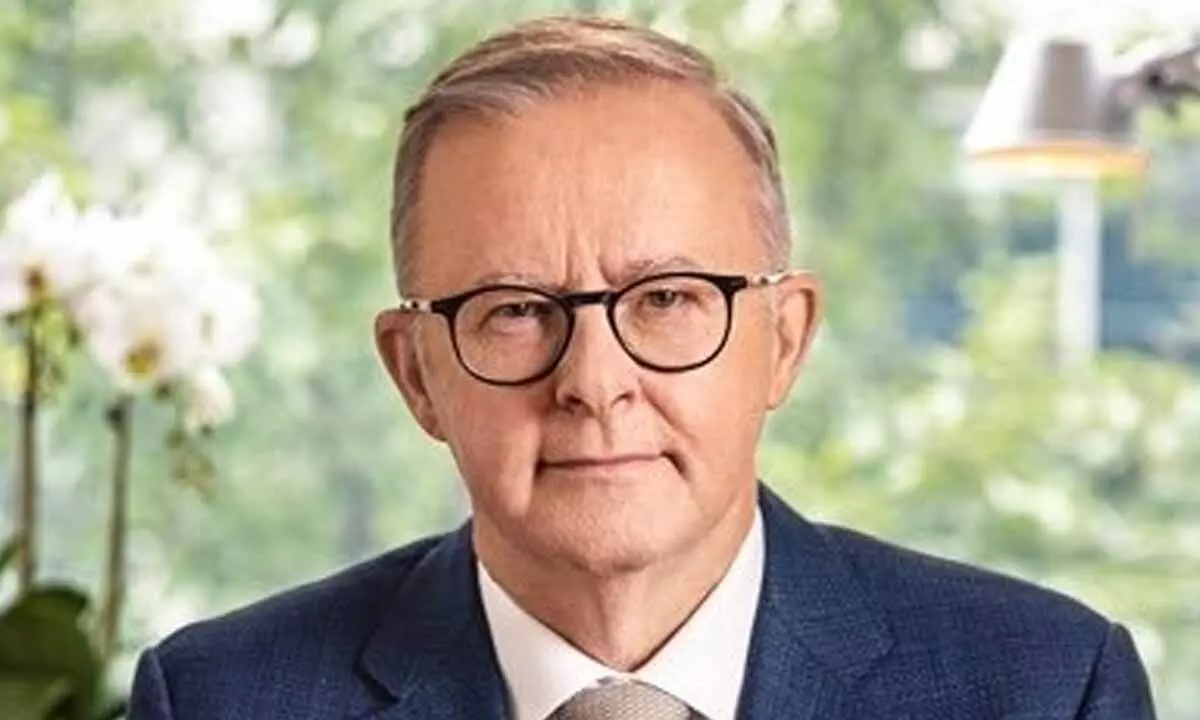 Albanese urges elected party MPs to have laser-like focus on working for Australians Albanese urges elected party MPs to have laser-like focus on working for Australians