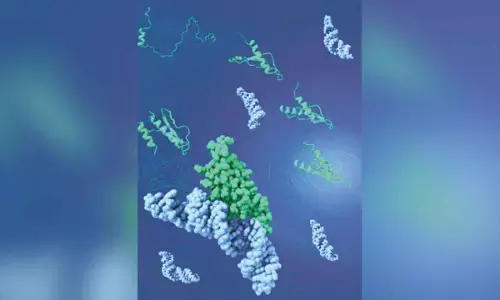 CCMB researchers discover key role of protein agility in binding to different molecular partners