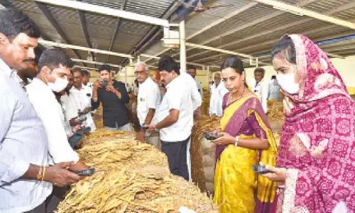 Collector Thameem Ansariya visits tobacco auction centre