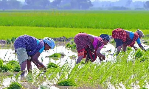 Agriculture: Navigating challenges and embracing opportunities