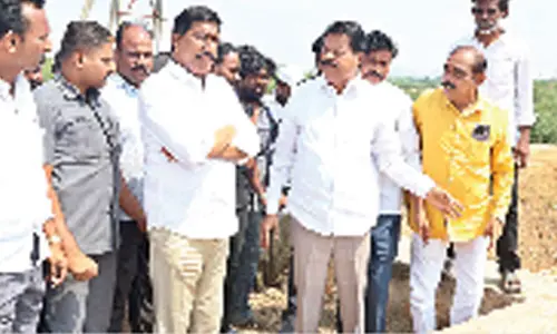 Minister inspects bridge on NSP Canal
