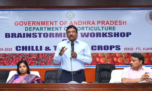 Farmers urged to go for multi-cropping for profitability