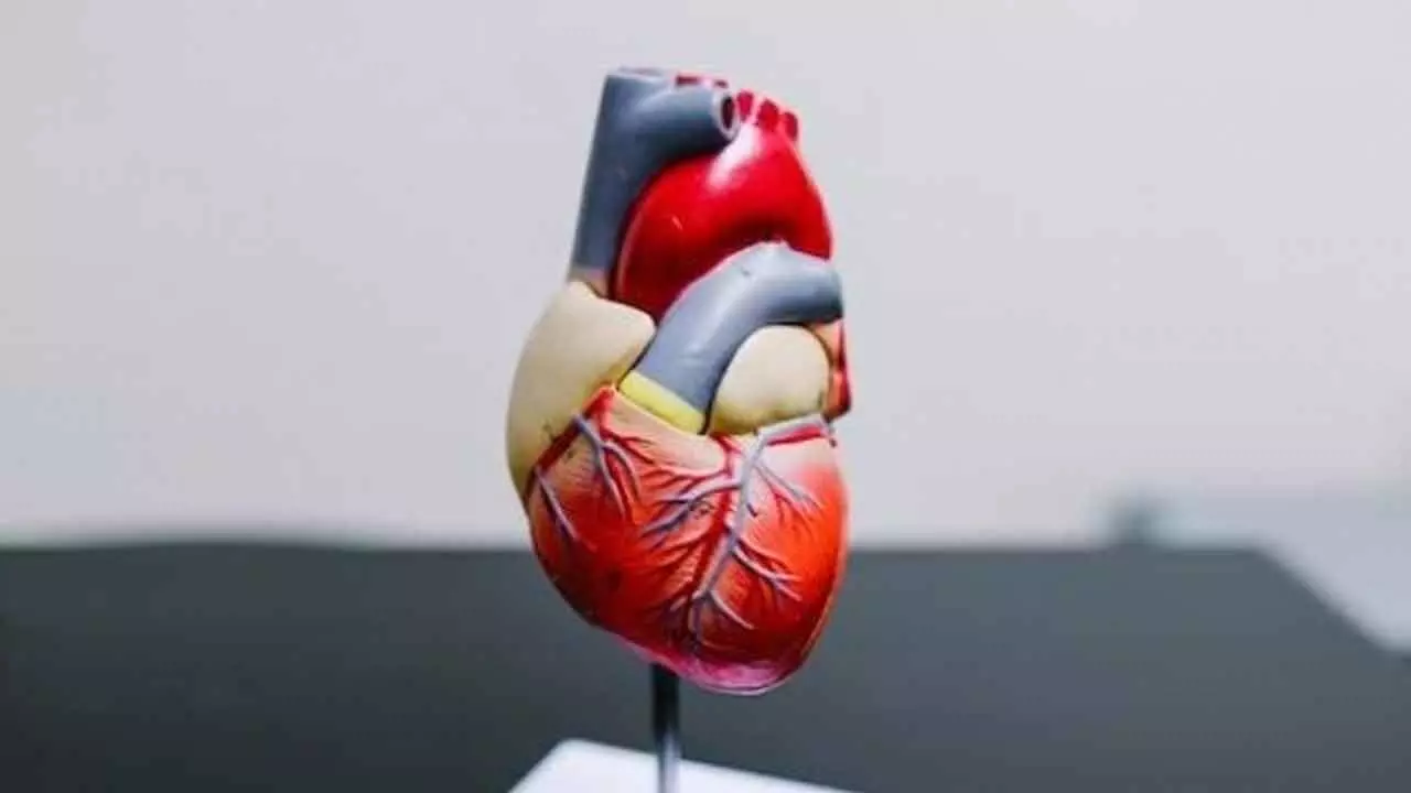 This cholesterol pill may fight high risk of heart attack, stroke: Study This cholesterol pill may fight high risk of heart attack, stroke: Study