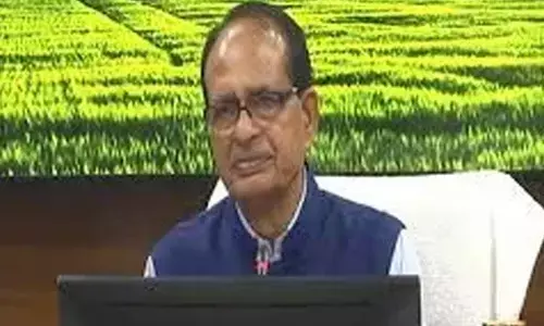 India has sufficient food reserves: Govt