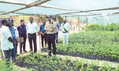 Emphasis laid on protecting greenery