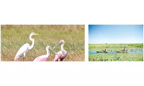 A seasonal guide to Louisiana’s outdoor activities and adventures