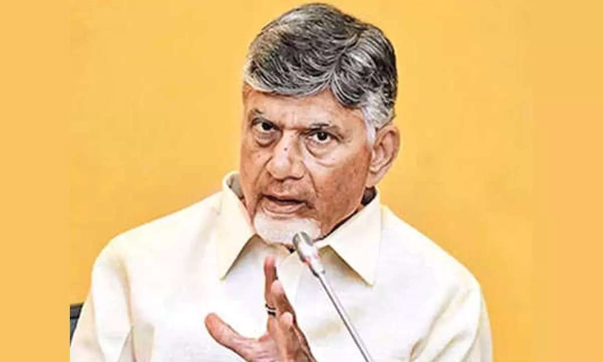 Ceasefire a positive step: Naidu
