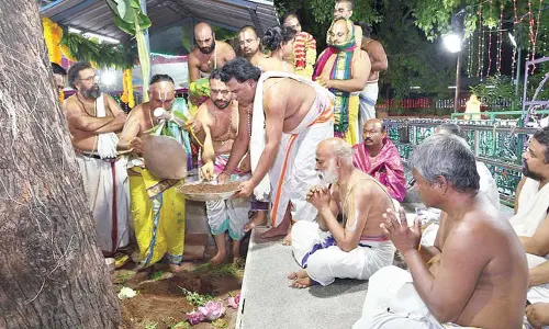 Ankurarpanam held at Tiruchanur temple