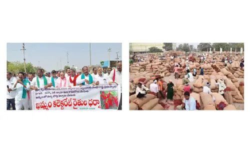Demand grows for chilli board in Khammam