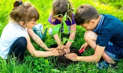 International Day of Plant Health: The vital role of trees for a healthier planet