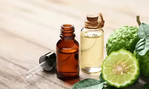 Effective DIY Herbal Oils to Boost Hair Growth Naturally