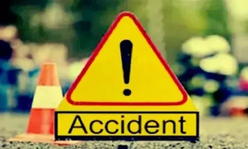 Tamil Nadu: 30 injured as bus plunges into gorge in Valparai
