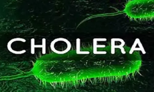 Four dead after cholera outbreak hits Chad refugee camp