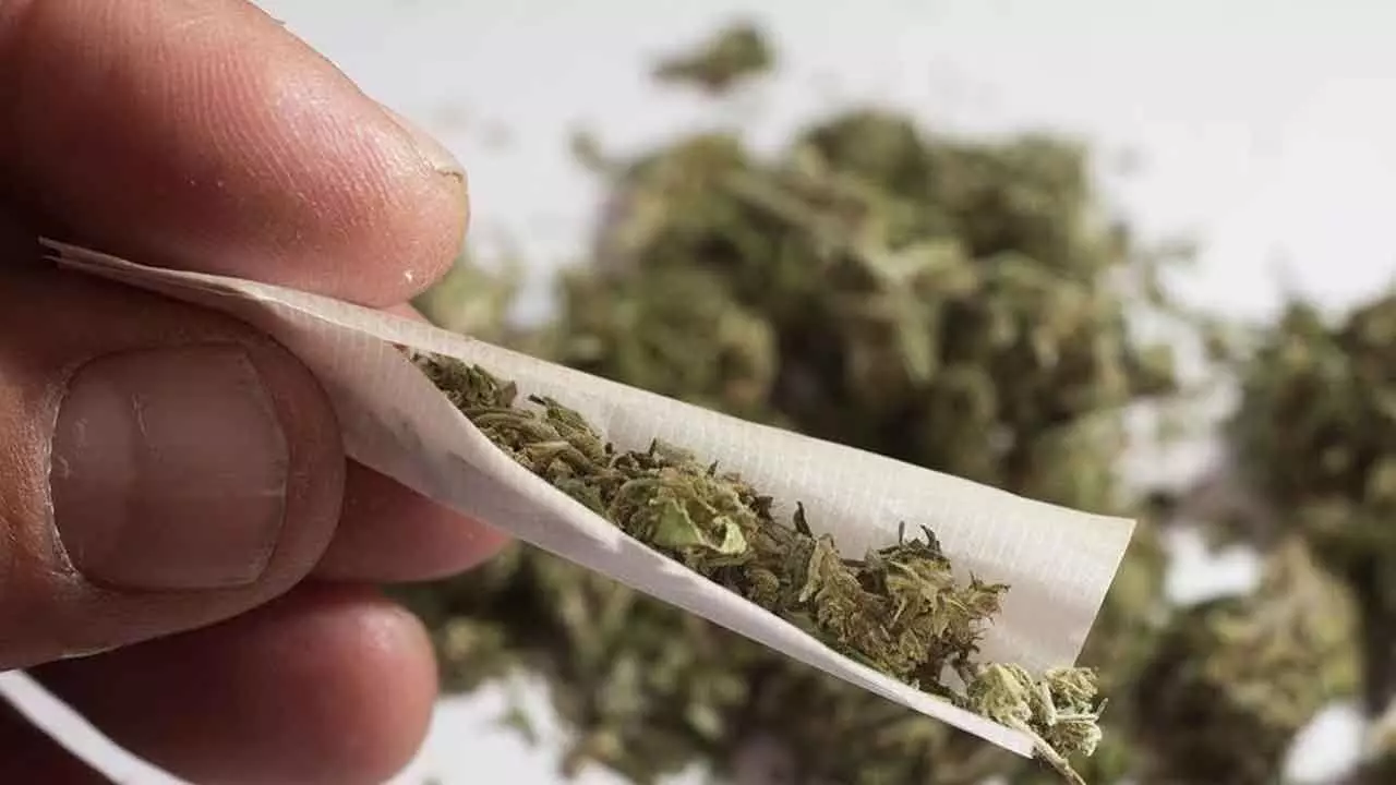 Ganja smuggling racket busted