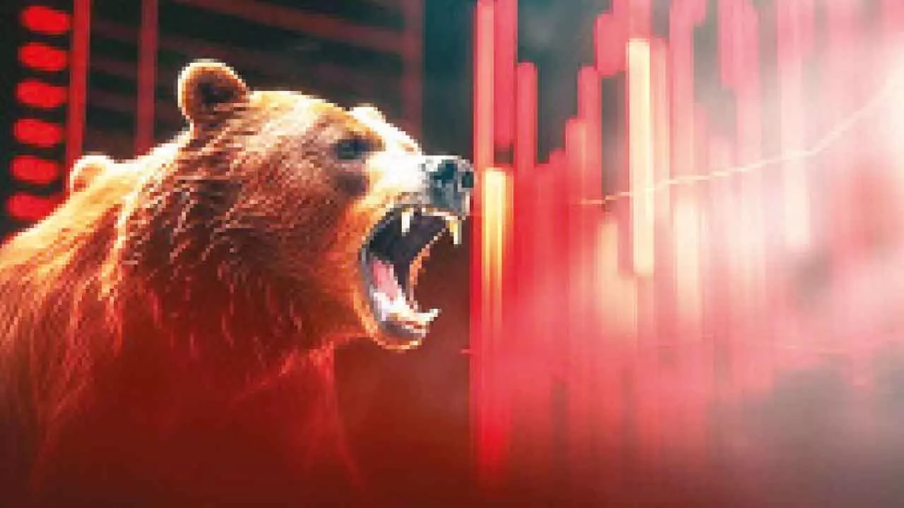 D Street back in red on swift profit booking