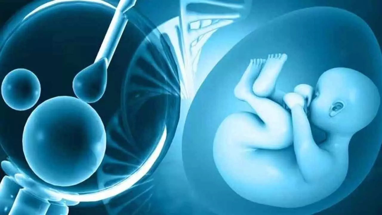 Swab test breakthrough could revolutionise IVF success rates: Swedish scientists lead the way Swab test breakthrough could revolutionise IVF success rates: Swedish scientists lead the way