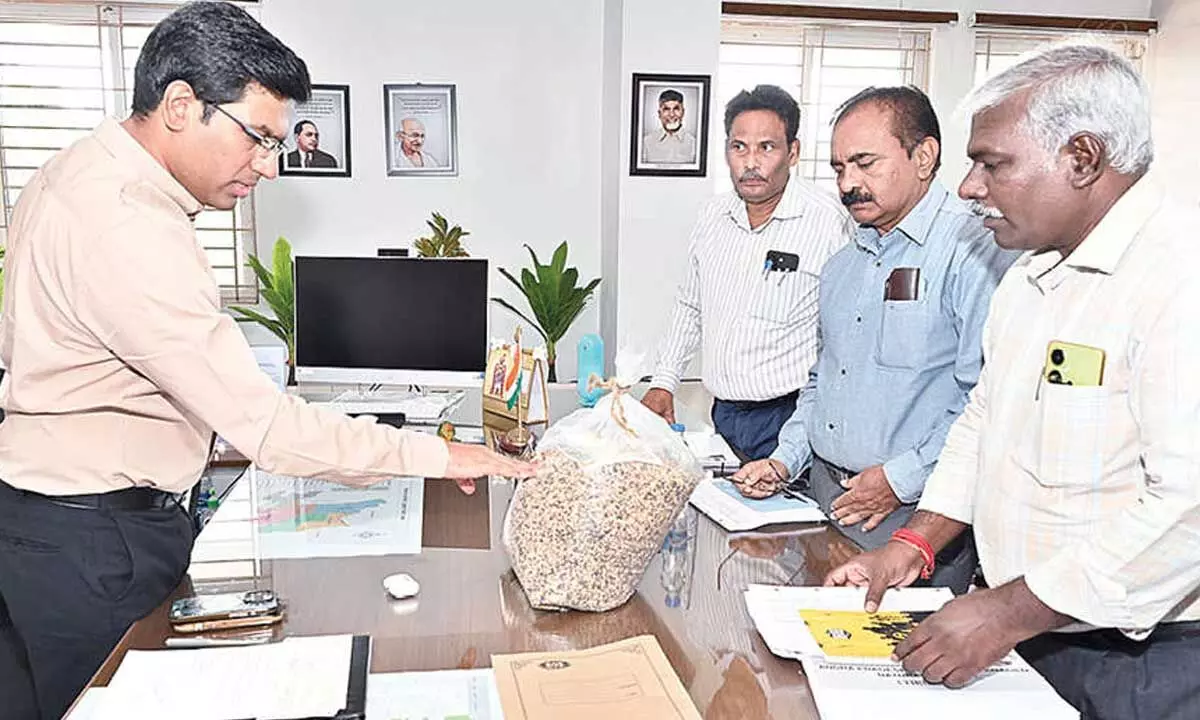 Collector calls for promoting PMDS on a large scale