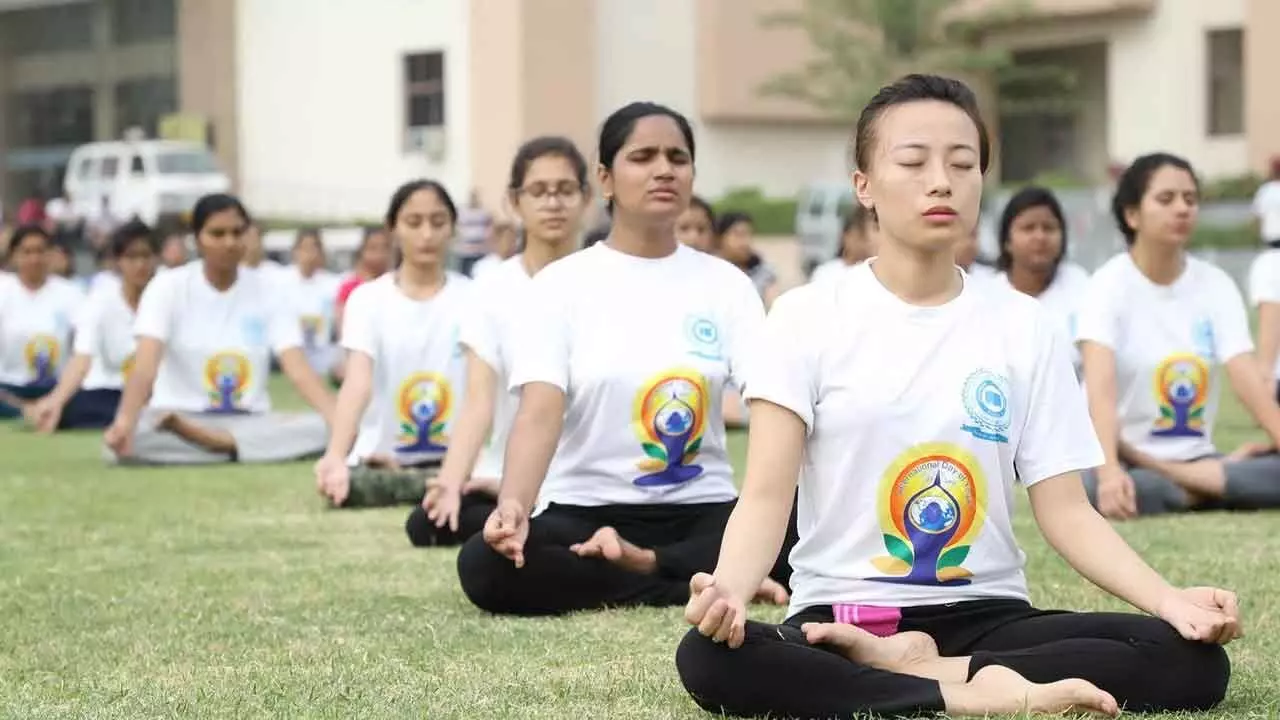 Third global yoga and naturopathy meet to share inputs on latest advancements