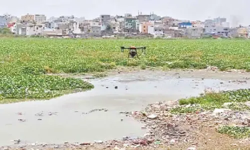 GHMC deploys drones to swat mosquito menace across city