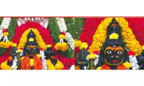 PETA India complaint:  Authorities foil animal sacrifice bids at two temples