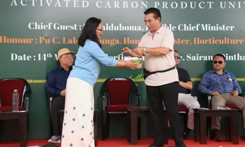 Bamboo can drive Mizorams economy, generate jobs: CM Lalduhoma