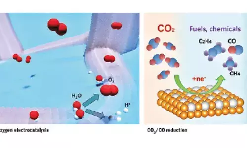 Researchers develop catalyst for sustainable oxygen electrocatalysis