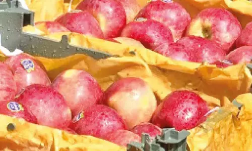 UP traders announce boycott of Turkish imports