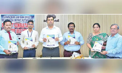 Disburse loans to beneficiaries under PM Surya Ghar: Collector