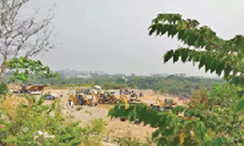 Restore forest or face jail: SC