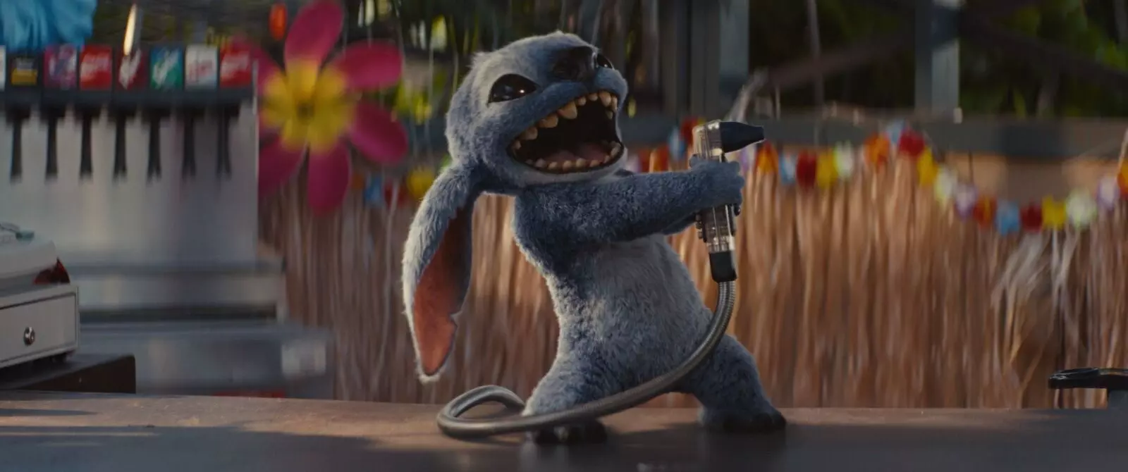 Stitch is coming: Disney’s Lilo & Stitch set to light up Indian screens in just one week Stitch is coming: Disney’s Lilo & Stitch set to light up Indian screens in just one week