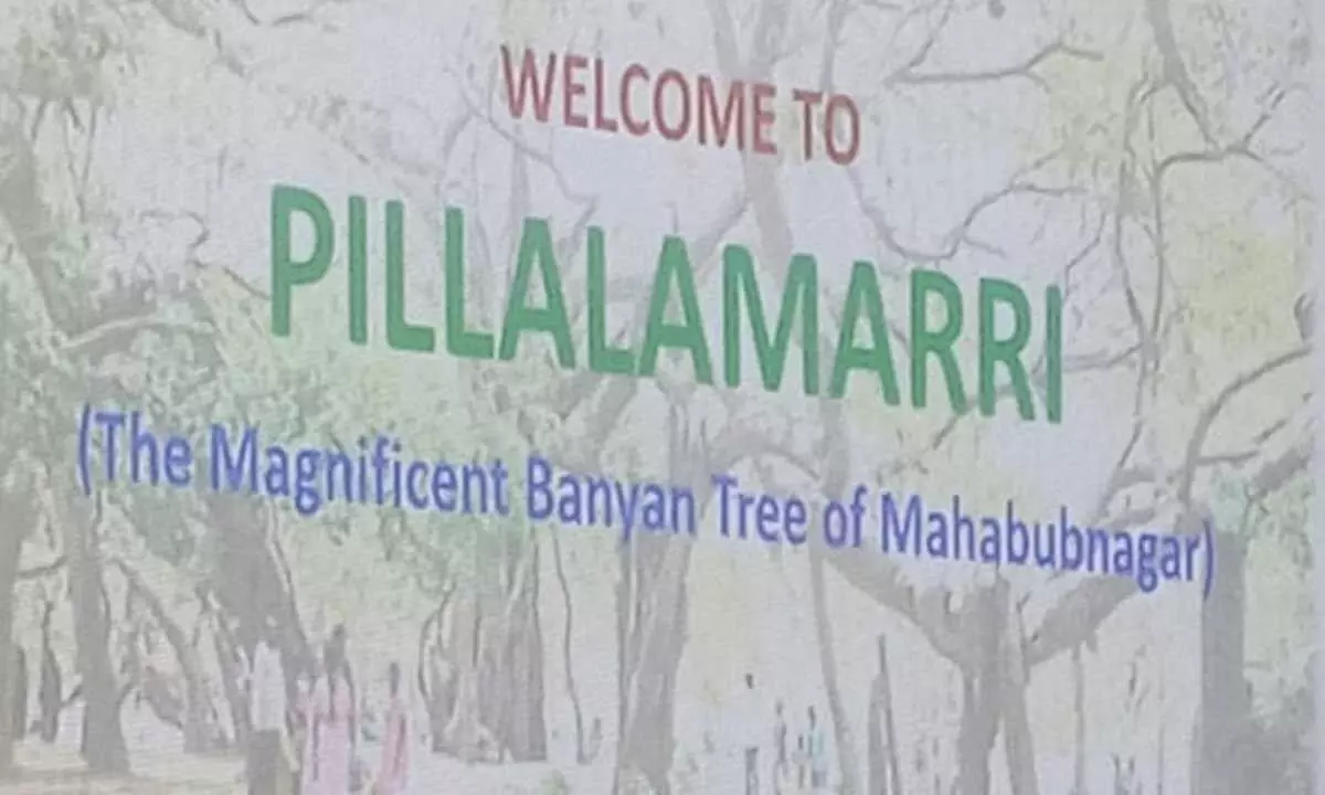 Telangana Showcases Its Soul: Miss World Contestants Immerse in Culture, Craft, and Nature at Pillalamarri Telangana Showcases Its Soul: Miss World Contestants Immerse in Culture, Craft, and Nature at Pillalamarri
