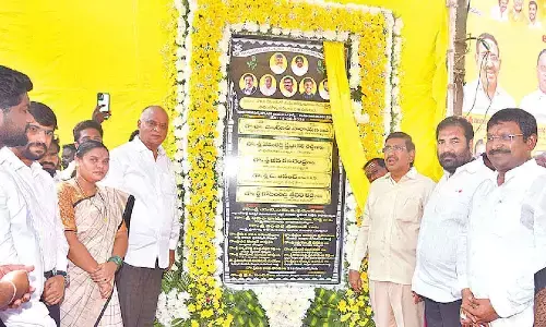 Festive atmosphere in Nellore rural