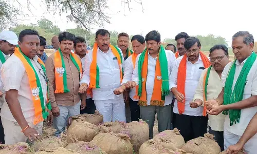 Buy wet rice immediately, demand BJP leaders