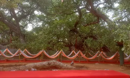 Miss World Beauty Contingent to Visit Pillalamarri Today: Grand Cultural Welcome Planned