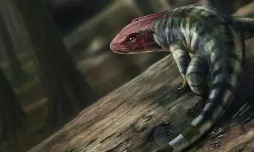 Scientists discover footprints of lizard-like creatures from 355 million years back
